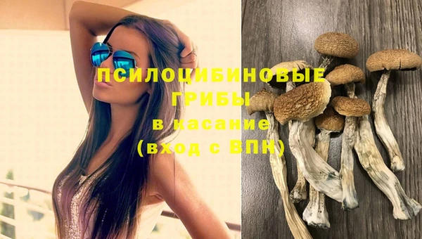MDMA Premium VHQ Горнозаводск