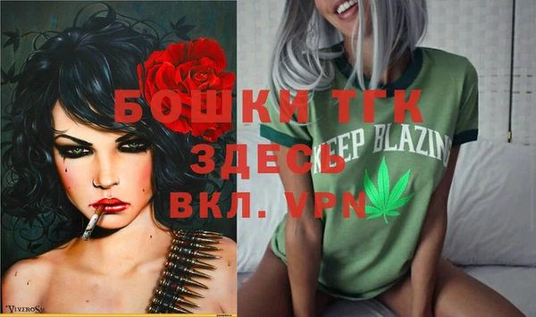 дурь Горняк