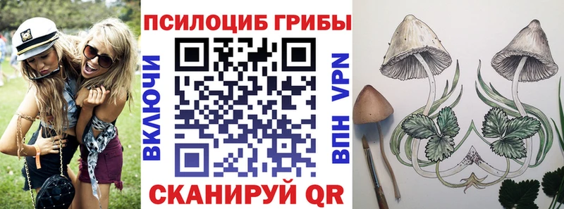 Галлюциногенные грибы GOLDEN TEACHER  Заволжье 